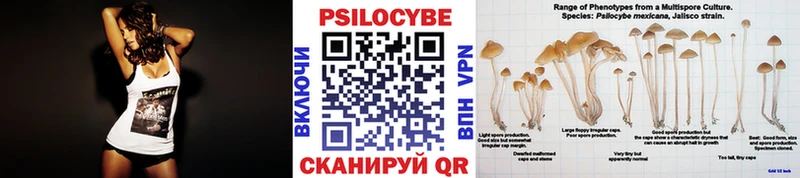 наркота  Переславль-Залесский  Галлюциногенные грибы Psilocybe 