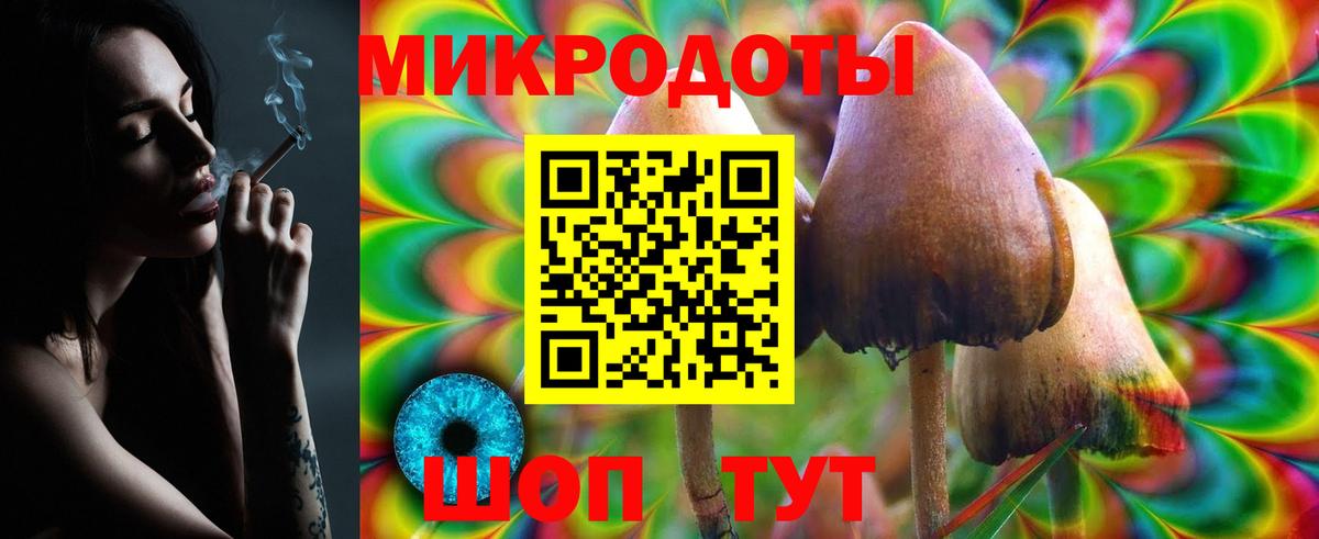 Галлюциногенные грибы Psilocybe  Псилоцибиновые грибы GOLDEN TEACHER  Переславль-Залесский  Вход с VPN 